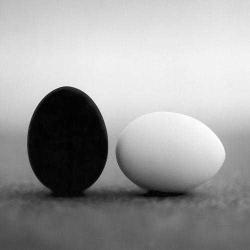 cropped-eieren-1.jpg